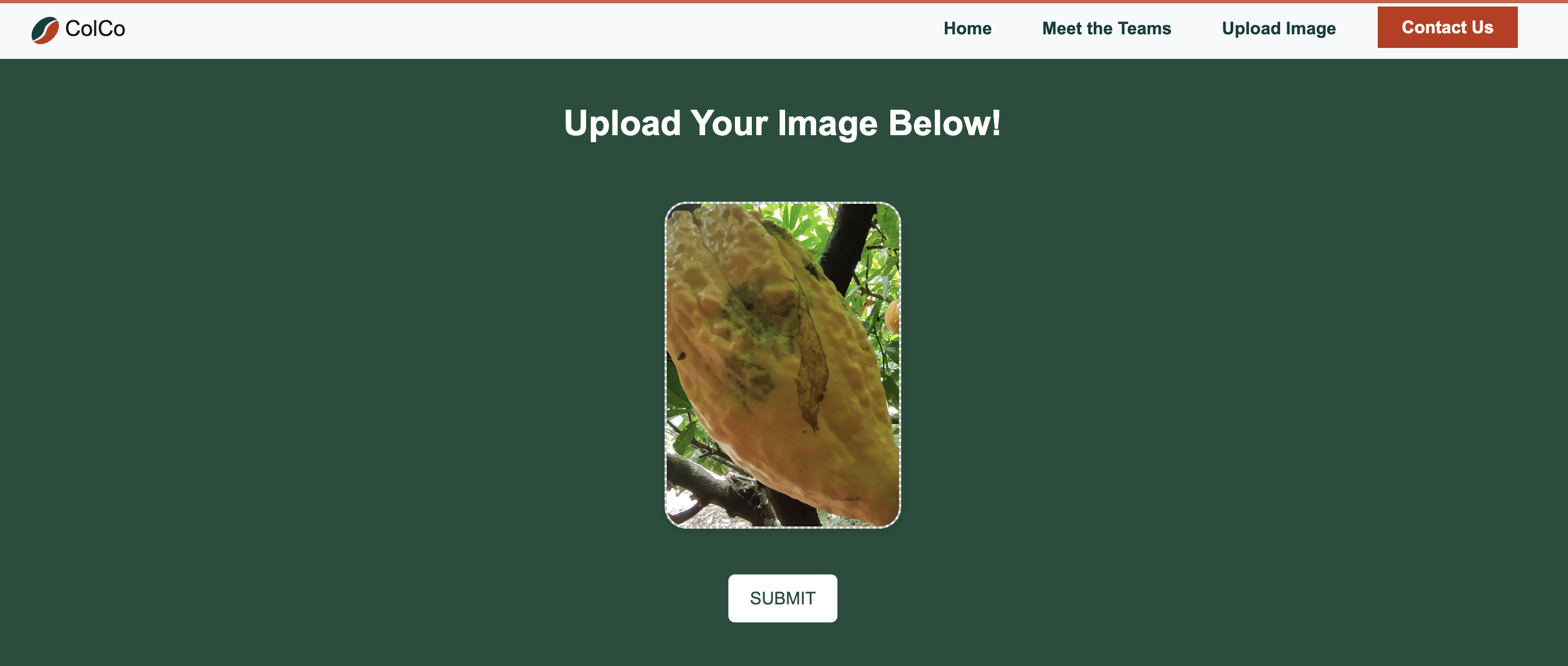 Cacao Disease Project Screenshot